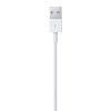 Apple Lightning to USB Cable (1m)