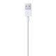 Apple Lightning to USB Cable (1m)