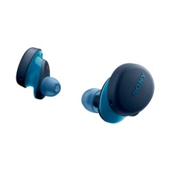 Sony WF-XB700 Bluetooth Truly Wireless in Ear Earbuds with Mic Extra Bass with 18 Hours Battery Life for Phone Calls, Quick Charge, Ver 5.0 (Blue)