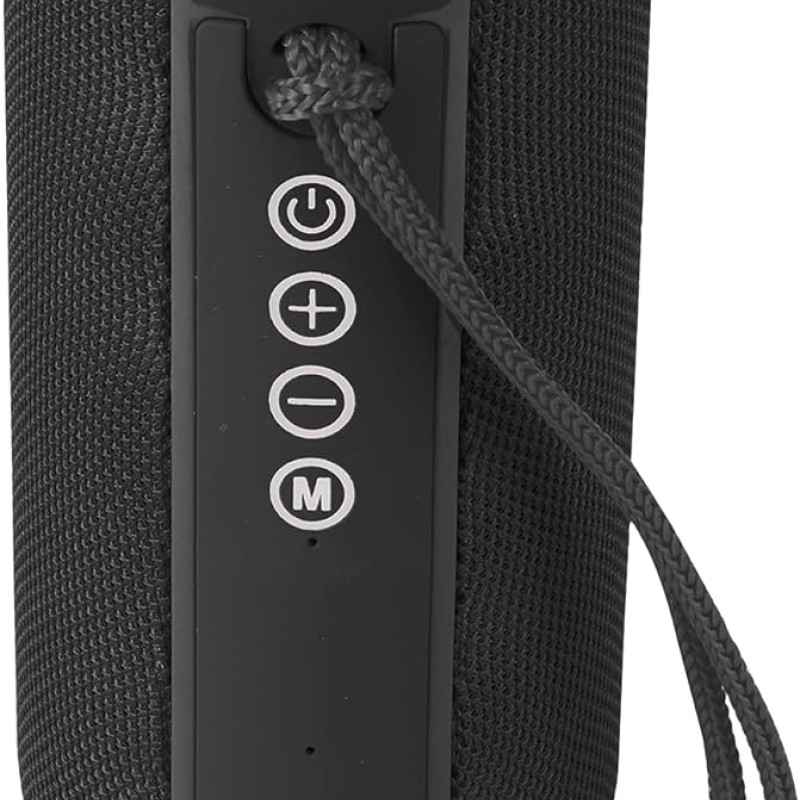 ZEBRONICS Zeb-Action Wireless 10W Portable Speaker, Supporting Bluetooth v5.1, TWS, RGB Lights, Fabric Finish, AUX/USB/FM/mSD (Black)