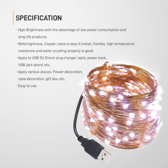 GIZGA Essentials Copper LED Fairy String Lights with USB, High Brightness