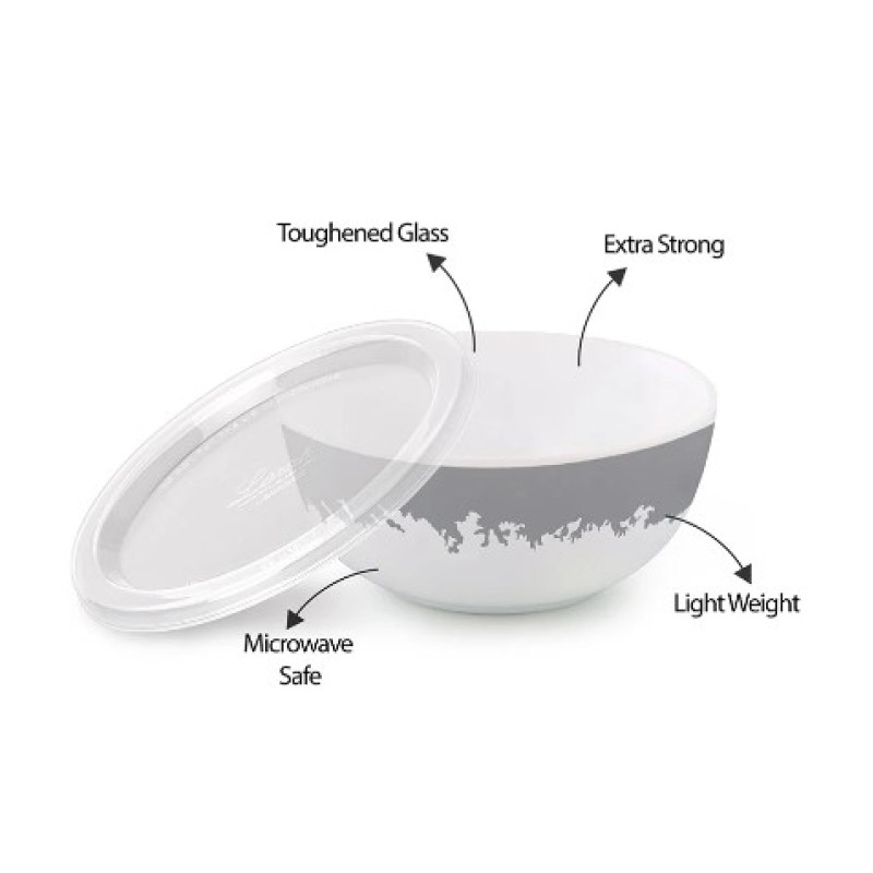 Larah by Borosil Silver Luna Serve n Store Larah by Borosil Silver Luna Serve n Store