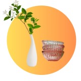Home & Decor