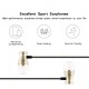 pTron Magg HBE (High Bass Earphones) Magnetic in-Ear Wired Headphones with Mic - (Gold)