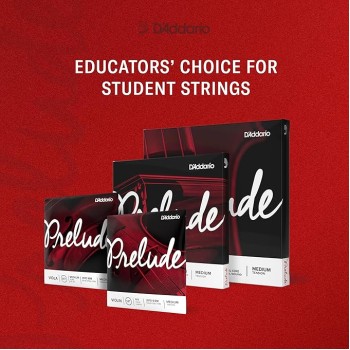 D'Addario J811 Prelude Medium Tension Violin 4/4 Scale Single E String D'Addario J811 Prelude Medium Tension Violin 4/4 Scale Single E String
