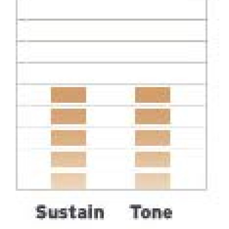 Evans S14H20 14-inch Clear 200 Snare Side Drum Head Evans S14H20 14-inch Clear 200 Snare Side Drum Head