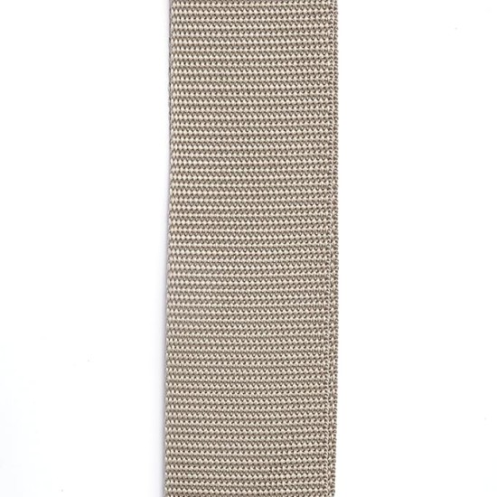 Planet Waves Polypropylene Guitar Strap, Silver