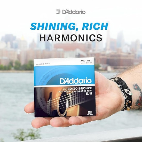 D'Addario EJ11 80/20 Bronze Acoustic Guitar Strings, Light, 12-53