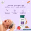 Himalaya Gentle Baby Shampoo (100ml) Himalaya Gentle Baby Shampoo (100ml)