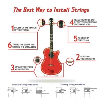 D'Addario Bronze Acoustic Guitar Strings_{.010-.050_Extra Light Gauge}_Stainless Steel Material D'Addario Bronze Acoustic Guitar Strings_{.010-.050_Extra Light Gauge}_Stainless Steel Material