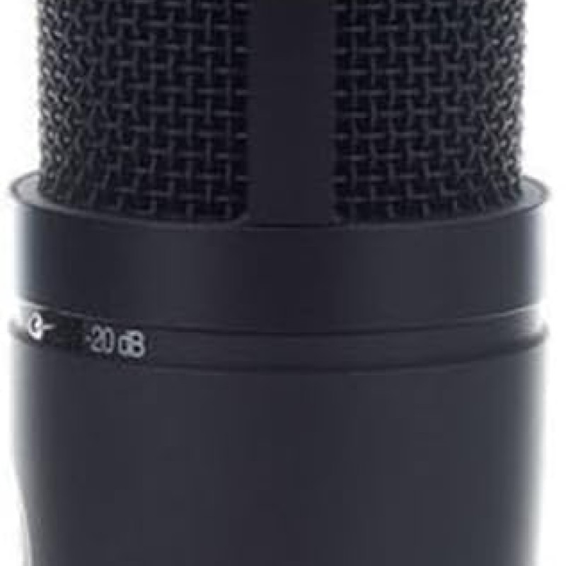 AKG P120 High-Performance General Purpose Recording Wired Microphone AKG P120 High-Performance General Purpose Recording Wired Microphone