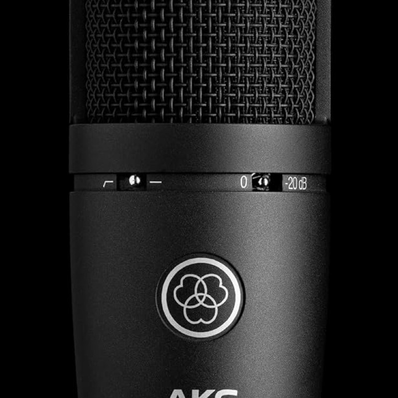 AKG P120 High-Performance General Purpose Recording Wired Microphone AKG P120 High-Performance General Purpose Recording Wired Microphone