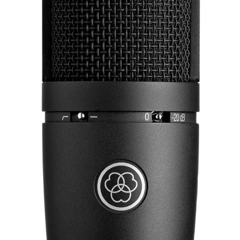 AKG P120 High-Performance General Purpose Recording Wired Microphone AKG P120 High-Performance General Purpose Recording Wired Microphone