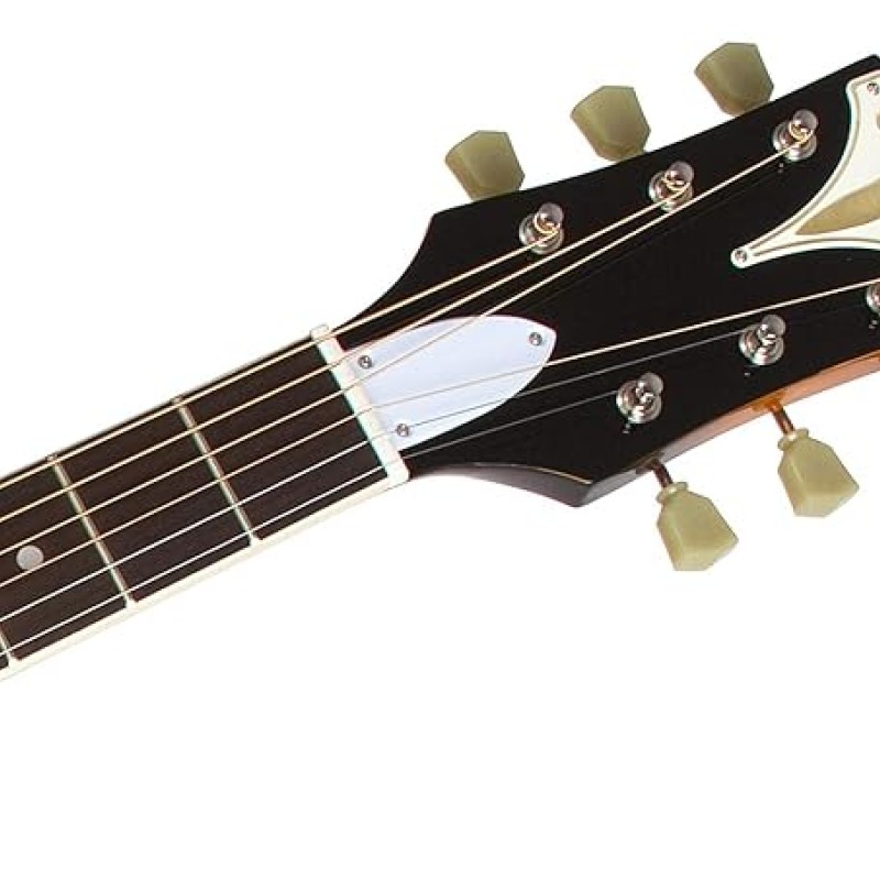 Epiphone Wood Pro-1 6 Strings Right Handed Acoustic Guitar Vintage Sunburst