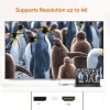 CableCreation Active DisplayPort to HDMI Adapter – 4K UHD, 3D Audio & Video, Eyefinity Multi-Screen Support – Black