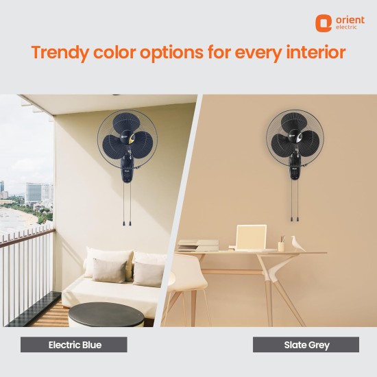 Orient Electric 400 MM Wall-44 Trendz Mount Fan | Wall Mount Fan for Home & Kitchen | Powerful Motor with High Air Delivery |Smooth Oscilation, 3-Speed Control | 2 Years Warranty | Slate Grey