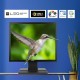Acer V176L 17-inch(44cm) Square 1280 X 1024 (SXGA) Resolution LED Backlit Computer Monitor, 250 Nits, 5 MS Response Time, TCO Certified, Black 