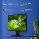 Acer V176L 17-inch(44cm) Square 1280 X 1024 (SXGA) Resolution LED Backlit Computer Monitor, 250 Nits, 5 MS Response Time, TCO Certified, Black 