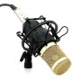 Powerpak Bm 800 Black Professional Condenser Microphone Mic Sound Studio Recording Dynamic (Requires Phantom Power) - Xlr