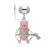 Powerpak BM 8000 Pink Condenser Sound Studio Recording Broadcasting Microphone+Pop Filter+Shock Mount (Requires Phantom Power or Sound Card) Powerpak BM 8000 Pink Condenser Sound Studio Recording Broadcasting Microphone+Pop Filter+Shock Mount (Requires Phantom Power or Sound Card)