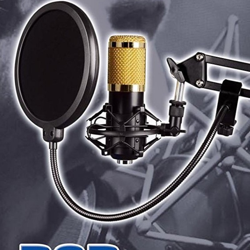 Ju�rez PF-100 6-inch Studio Microphone Pop Filter Shield Mask, Double Mesh Wind Screen with 360� Flexible Gooseneck and Quick Mount or Release Clamp for Recording, Singing and Broadcast Studio