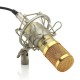 Powerpak Bm-800 Gold Professional Condenser Microphone with Metal Shock Mount (Requires Phantom Power Or Sound Card) - XLR Powerpak Bm-800 Gold Professional Condenser Microphone with Metal Shock Mount (Requires Phantom Power Or Sound Card) - XLR
