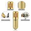 Powerpak Bm-800 Gold Professional Condenser Microphone with Metal Shock Mount (Requires Phantom Power Or Sound Card) - XLR