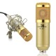 Powerpak Bm-800 Gold Professional Condenser Microphone with Metal Shock Mount (Requires Phantom Power Or Sound Card) - XLR Powerpak Bm-800 Gold Professional Condenser Microphone with Metal Shock Mount (Requires Phantom Power Or Sound Card) - XLR