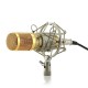 Powerpak Bm-800 Gold Professional Condenser Microphone with Metal Shock Mount (Requires Phantom Power Or Sound Card) - XLR Powerpak Bm-800 Gold Professional Condenser Microphone with Metal Shock Mount (Requires Phantom Power Or Sound Card) - XLR