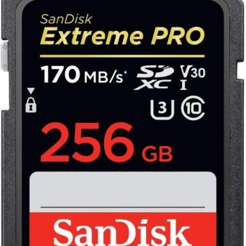 SanDisk 256GB Extreme PRO SDXC UHS-I Card - C10, U3, V30, 4K UHD, SD Card - SDSDXXY-256G-GN4IN