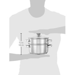 Solimo Stainless Steel Induction Bottom Steamer/Modak/Momo Maker With Glass Lid(2 Litres),Silver