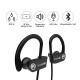 Bass Evolution Hexa Sports Wireless Bluetooth Headset  (Black, In the Ear)