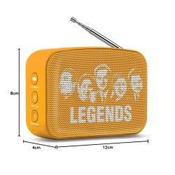 Saregama Carvaan Mini Hindi 2.0 - Music Player with Bluetooth/FM/AM/AUX (Saffron Orange)