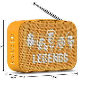 Saregama Carvaan Mini Hindi 2.0 - Music Player with Bluetooth/FM/AM/AUX (Saffron Orange)