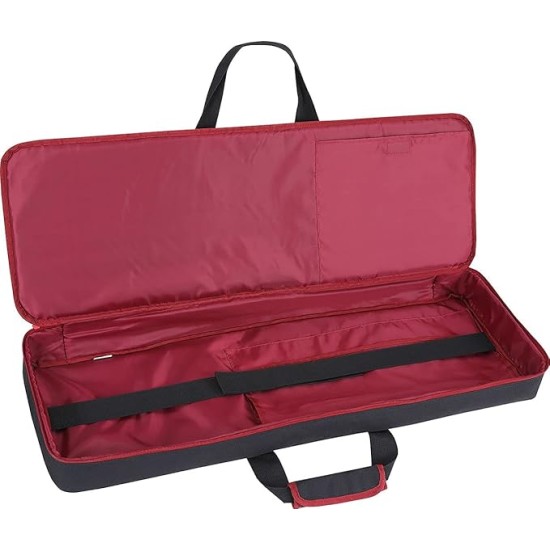 Roland E-X30 Arranger Keyboard 61-keys with Carry Bag