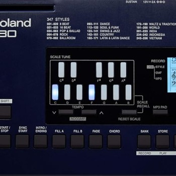 Roland E-X30 Arranger Keyboard 61-keys with Carry Bag Roland E-X30 Arranger Keyboard 61-keys with Carry Bag