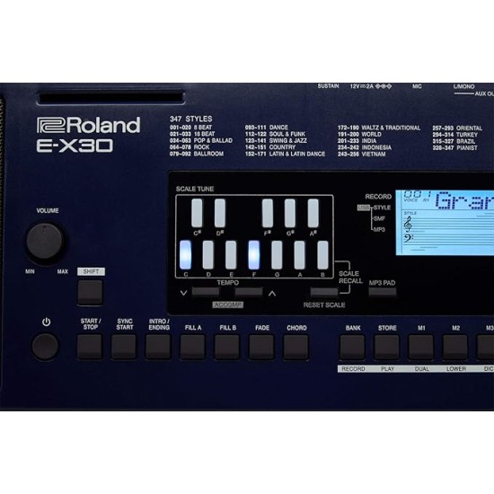 Roland E-X30 Arranger Keyboard 61-keys with Carry Bag
