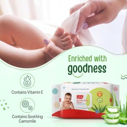 LuvLap Moisturising Wipes with Aloe Vera Lid (72 Wipes/Pack, Pack of 3)