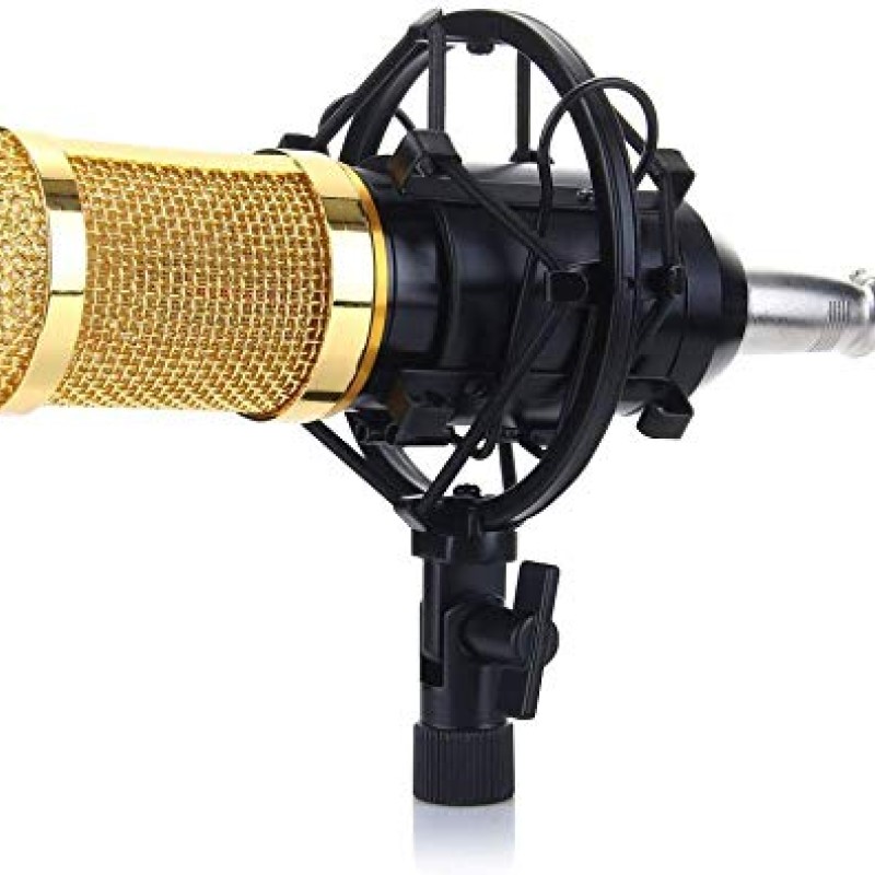 Powerpak BM-800 Professional Condenser Microphone Kit with Scissor Stand Sound Card Pop Filter XLR Cable Foam Cap and Shock Mount (Black) Powerpak BM-800 Professional Condenser Microphone Kit with Scissor Stand Sound Card Pop Filter XLR Cable Foam Cap and Shock Mount (Black)