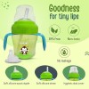 LuvLap Banana Time 150ml Anti Spill, Interchangeable Sipper / Sippy Cup with Soft Silicone Spout and Straw BPA Free, 6m+ (Green)