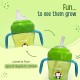 LuvLap Banana Time 150ml Anti Spill, Interchangeable Sipper / Sippy Cup with Soft Silicone Spout and Straw BPA Free, 6m+ (Green)