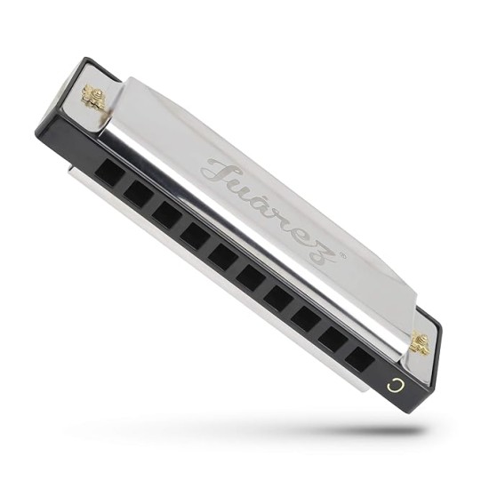 Juarez JRZ10HM Key C Diatonic Blues Harmonica 10 Hole 20 Tones with Case, Mouth Organ for Beginners, Students, Kids & Professionals, Silver
