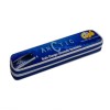 ARCTIC C scale 24-hole Scale Changer Chromatic Premium Harmonica/Mouth Organ with Case for Professional and Amateurs. Ultra premium finish and durable built