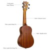 JUAREZ Etéreo 21" Soprano Ukulele, Sapele Top & Body, Aquila Italian Strings, Black Diecast Machine, Rosewood Fretboard & Bridge with Gig Bag, 2 Picks, Digital Tuner, Natural