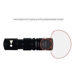 JBL Commercial Cssg01 Mini Shotgun XLR Microphone