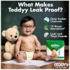 TEDDYY Baby Easy Pant Diapers Large 62 Count (Pack of 1), 9-14 kgs, 10 hrs Leak Protection, Anti - Bacterial