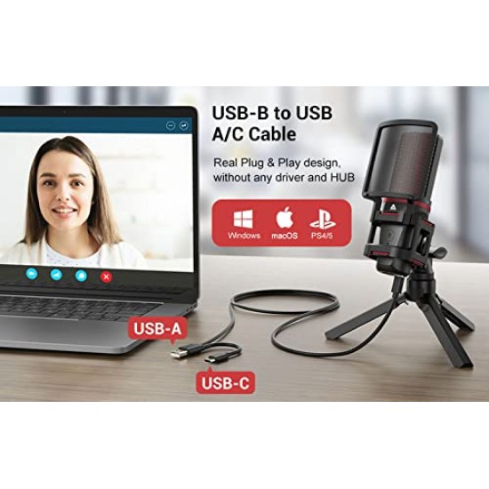 Audio Array AM-C6 USB Plug & Play Condenser Microphone Kit | with pop-Filter & Shock Mount | 3.5 mm No Latency Monitoring, Volume Control & Mute Button | Gaming, Podcasting & Streaming Audio Array AM-C6 USB Plug & Play Condenser Microphone Kit | with pop-Filter & Shock Mount | 3.5 mm No Latency Monitoring, Volume Control & Mute Button | Gaming, Podcasting & Streaming
