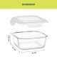 Borosil Ace Borosilicate Glass Lunch Boxes Set of 2 (320 ml Each) with Lunch Bag, Square, Horizontal, Lunchboxes for Office & College, Microwave Safe, Leak Proof (Transparent, Green)