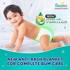 Pampers All Round Protection Pants Style Baby Diapers, Extra Large size (XL), 168 Count, 12-17kg, Anti-rash blanket, 360 degree Lotion with Aloe Vera