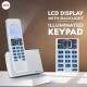 Beetel X75 2.4Ghzexpandable Cordless Landline Phone,Dual Mode DTMF/FSK,1 Line 7 Segment LCD Display & Blue LED Backlit,Illuminated Keypad,2 Way Speaker Phone,6 Step Ringer Volume Control (Silver)(X75)